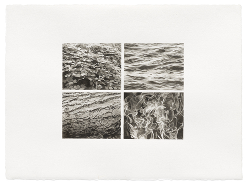 Inaugural Exhibition for Jane Deering's New Space!